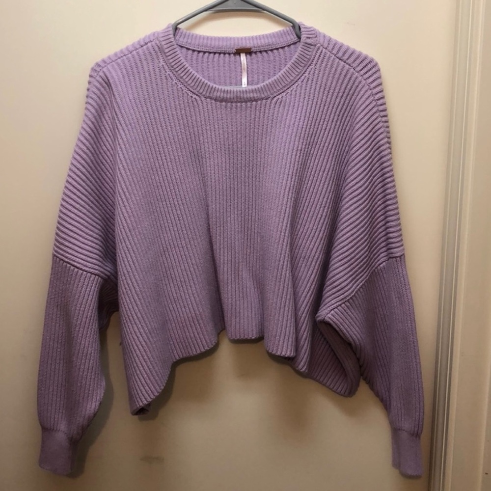 Free People Crop Sweater
